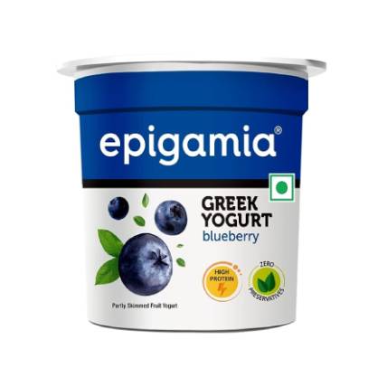 Epigamia Curd Blueberry Greek Yogurt